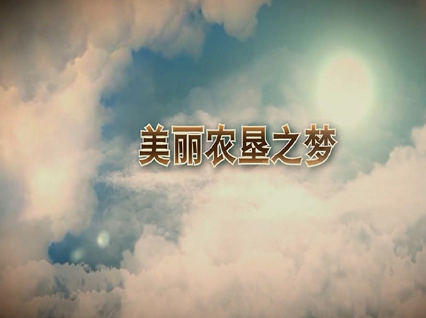 大圖2